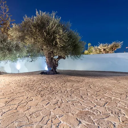 Willa Nopi Exclusive Villa, A Sunlit Retreat By Mindyourvilla Tsilivi (Zakynthos)